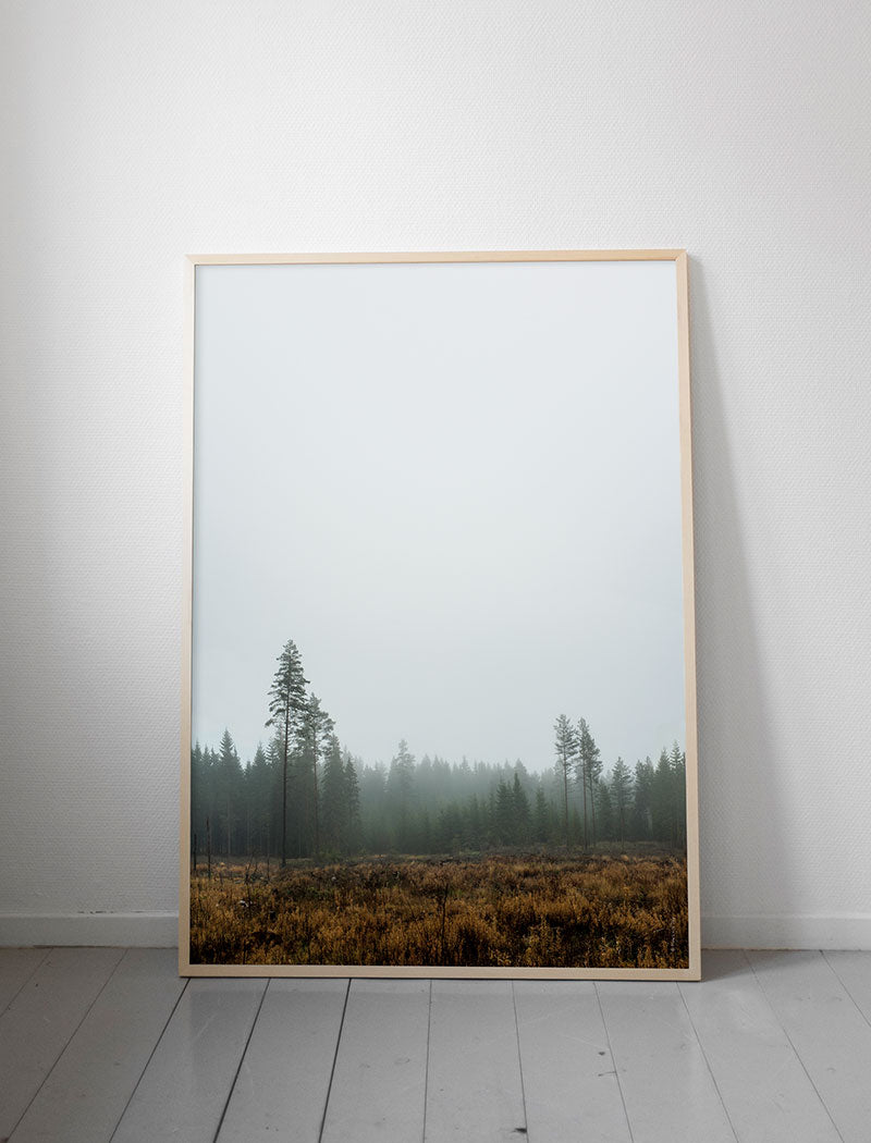FOREST POSTER - 70x100 cm