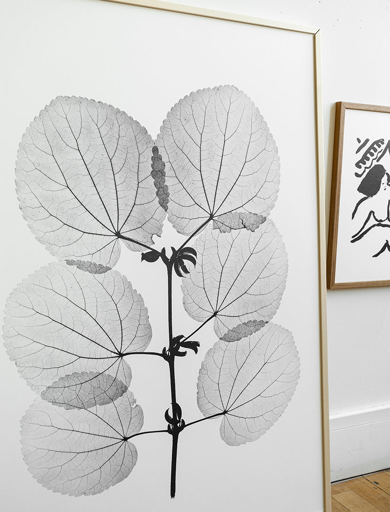 KATSURA POSTER - 70x100 cm