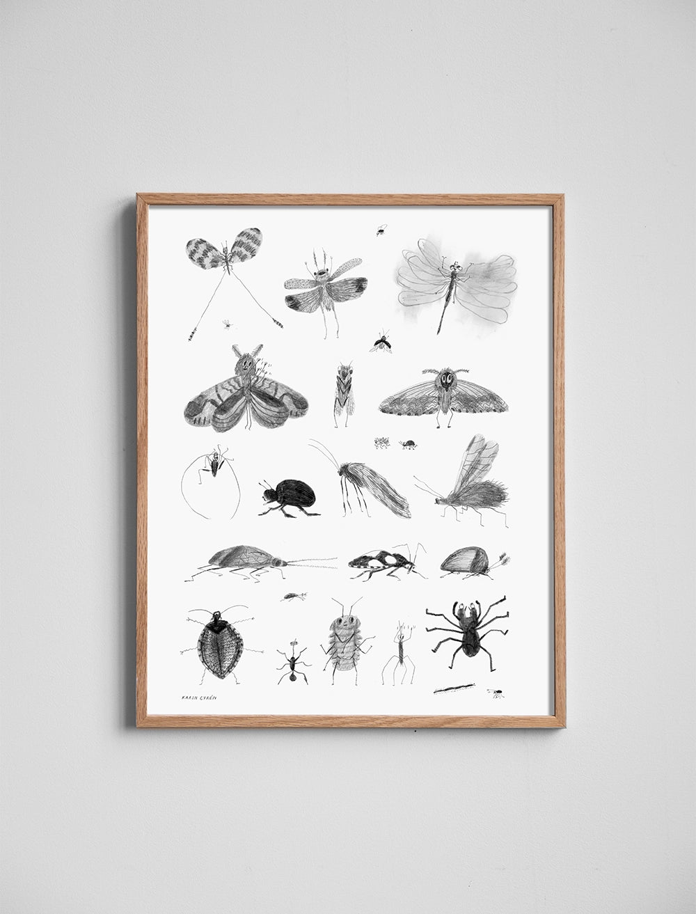 BUGS POSTER - 40 x 50 cm