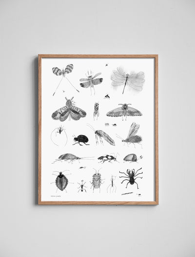 BUGS POSTER - 40 x 50 cm