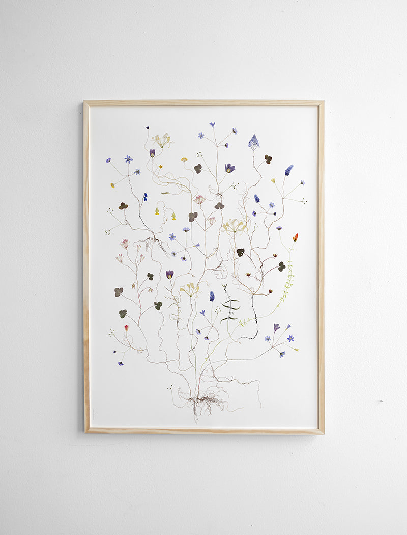 SVENSK VÅR POSTER - 50×70 cm
