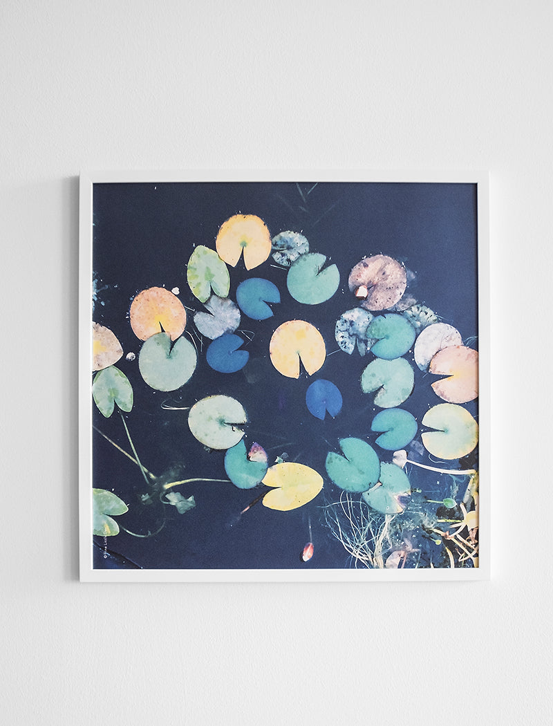WATER LILIES POSTER - 50x50 cm